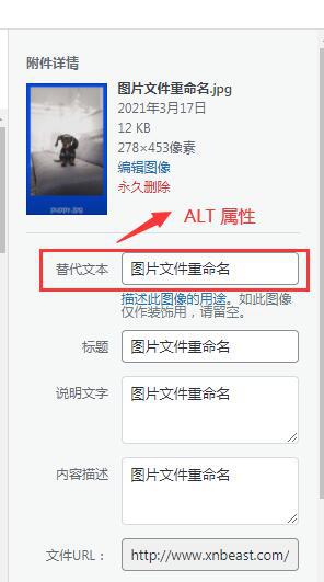 页面SEO优化终极指南(15大策略按谷歌最新规则2022更新)(图38) 页面SEO优化终极指南(15大策略按谷歌最新规则2022更新)(图38)