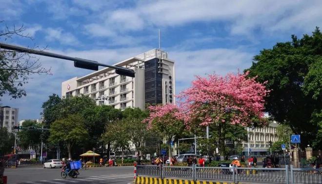 2024碧桂园云樾金沙最新售楼处(官方)官方介绍-佛山房天下(图6)